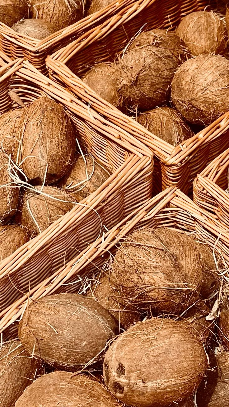 Coconut