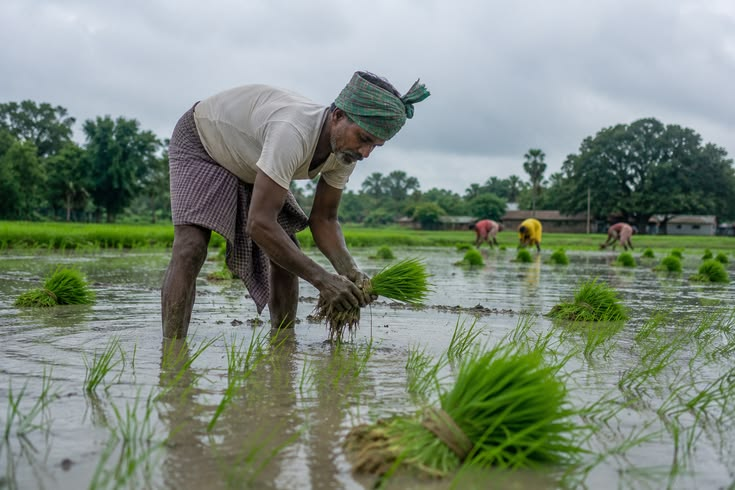 Navion Exports sourcing network across India